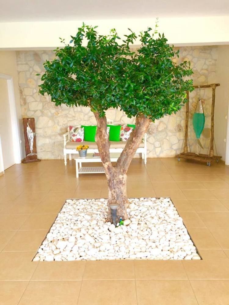 Ammos Boutique Apartments & Suites Malia  Luaran gambar